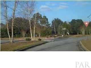 tree lined road