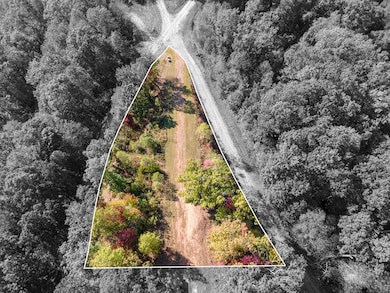 Lot 64 Lyle Mountain Trail, Franklin, NC 28734 - photo 2