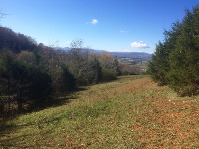 26 Ac. - Mountain View Rd unit 705, Lexington, VA 24450 - photo 7