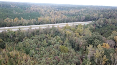 Exit 52, Knoxville, AL 35469 - photo 7