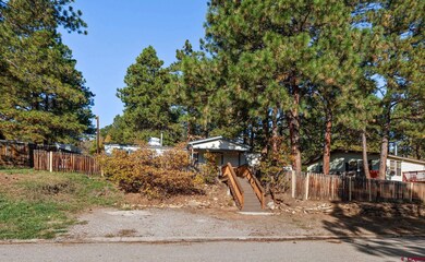 41 Moss Road Trail, Durango, CO 81303 - photo 2