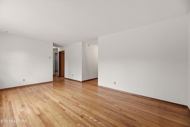 5716 Scenichills Rd, Knoxville, TN 37912 - photo 5