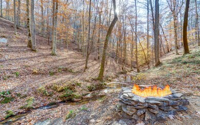 276 Monticello Rd, Ellijay, GA 30536 - photo 4