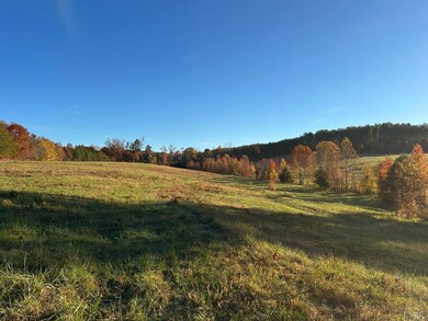 0 McIver Ferry Rd, Gladys, VA 24554 - photo 2