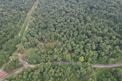 0 New Era Landing unit 17800450, Linden, TN 37096 - photo 4