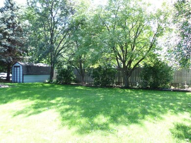 Fence and shed along the east side of lot