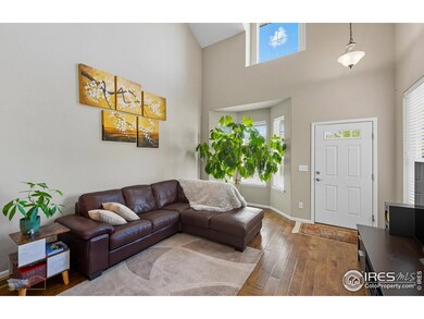 4859 Raven Run, Broomfield, CO 80023 - photo 5