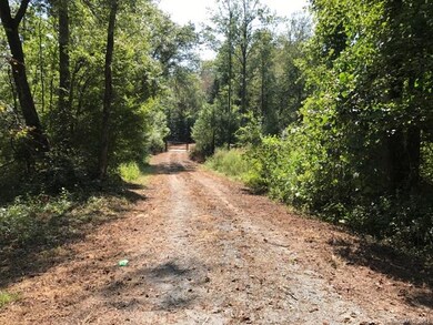 2915 Big Level Rd unit 1, Mill Spring, NC 28756 - photo 3