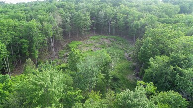 DJI_0341
