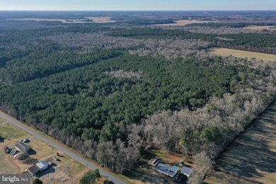 0 Bent Pine Rd unit MDWC2020984, Willards, MD 21874 - photo 6