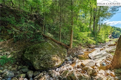 5931 Big Dry Run Rd, Mountain City, TN 37683 - photo 3