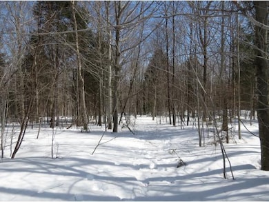 00 Bixby Rd, Ludlow, VT 05149 - photo 4