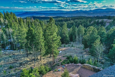 290 N Mountain Estates Rd, Florissant, CO 80816 - photo 7