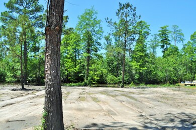 O Lowtide Dr, Escatawpa, MS 39562 - photo 5