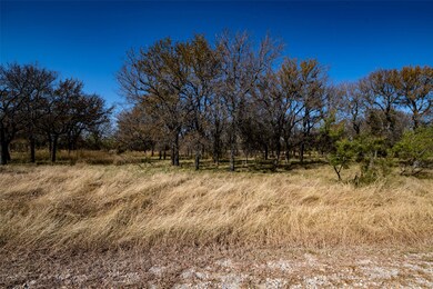 Lot 195 Grand Harbor Blvd, Chico, TX 76431 - photo 6