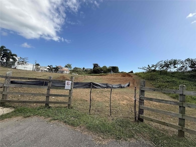 0 Road 308 Km 1 0 unit MFRPR9115075, Cabo Rojo, PR 00623 - photo 6