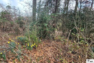 0 Highway 80 unit 213443, West Monroe, LA 71291 - photo 3