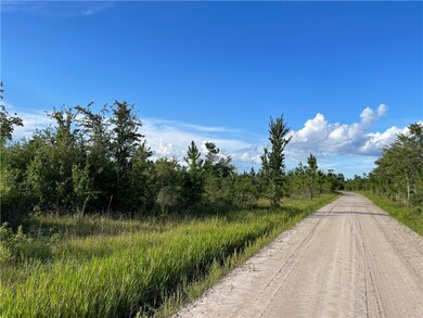 0 Blackshear Hwy unit 1636195, Surrency, GA 31563 - photo 6