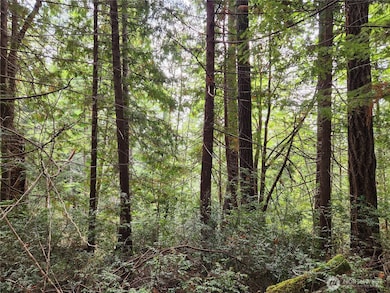 0 Yashi Rd unit NWM2428983, Brinnon, WA 98320 - photo 4