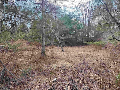 00 Hodge Hill Rd, Lisbon, NH 03585 - photo 5
