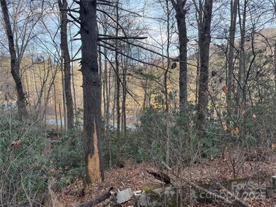 2664 N Carolina 9, Black Mountain, NC 28711 - photo 5