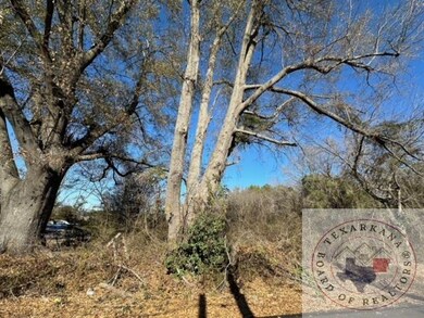 0 Homer Ford Ave, Nash, TX 75569 - photo 2