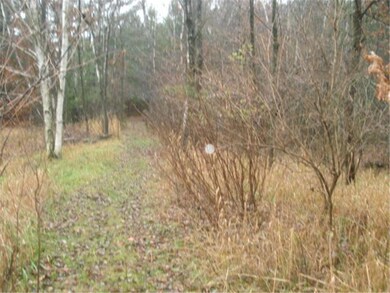 6.41 acres of HIGH AND DRY buildable land.  Bring 