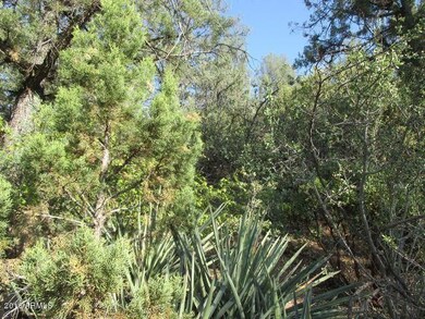 Photo 07