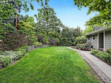 Front Yard