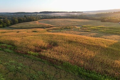 10 Dot Mor Ln, Lake Lynn, PA 15451 - photo 6