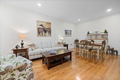 13 Mercy St unit 13, Danbury, CT 06810 - photo 4