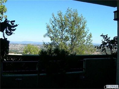 View From The Patio