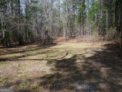 LOT 5 Blackberry Bend, Elberton, GA 30635 - photo 4