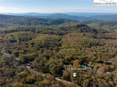 123 Briarwood Ln, Beech Mountain, NC 28604 - photo 7