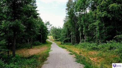 Tract 13 Cook Ln, Cromwell, KY 42333 - photo 7