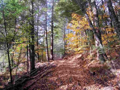 0 E Town Farm Rd unit 4606722, Putney, VT 05346 - photo 5