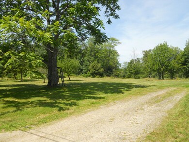 Driveway:YardDSCN0559