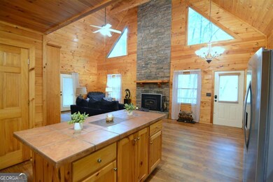 854 Navaho Way unit 5700, Ellijay, GA 30540 - photo 6