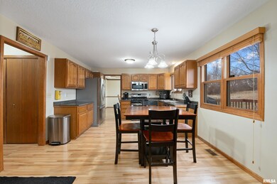 1210 Emerald Woods Ct, Davenport, IA 52806 - photo 2