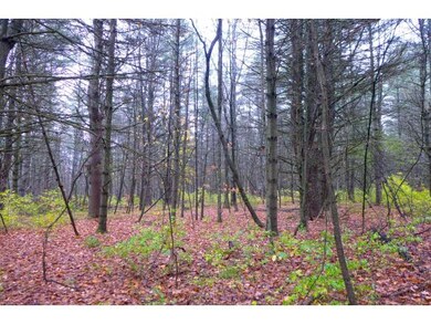 14 Cedar Cir, Shaftsbury, VT 05262 - photo 7