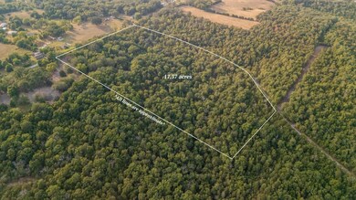 1755 State Hwy O- Tract C, Kissee Mills, MO 65680 - photo 3