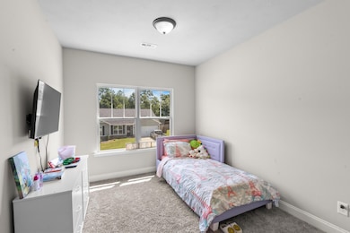 4160 Fringetree Loop, Aiken, SC 29803 - photo 2