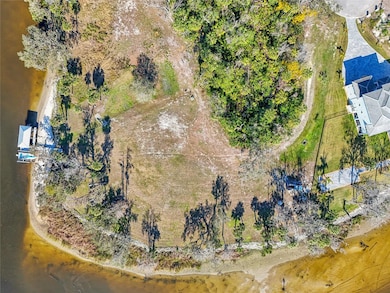 8331 Alafia Pointe Dr, Riverview, FL 33578 - photo 7