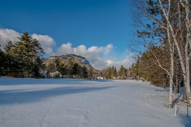 52 Carleton Way, Hales Location, NH 03860 - photo 2