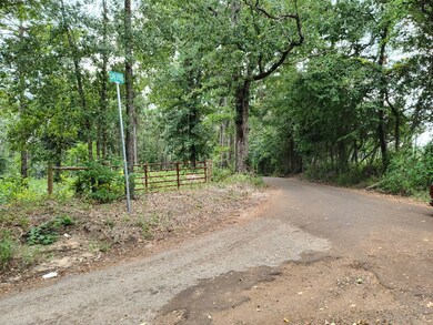 Lot 3 County Road 702, Nacogdoches, TX 75964 - photo 2
