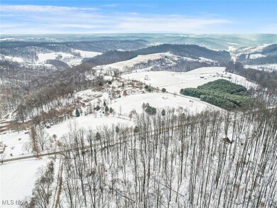 87085 Crall Rd, Scio, OH 43988 - photo 5