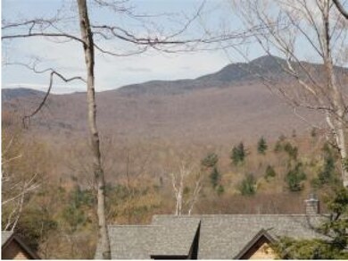 7 (Lot 31) Hemlock Dr, Lincoln, NH 03251 - photo 3