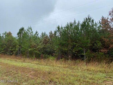 3 hunting-property-copiah-county