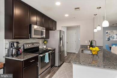 503 Mathias Hammond Way unit 203, Annapolis, MD 21401 - photo 4