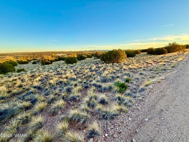 136 Zuni Dr, Concho, AZ 85924 - photo 6